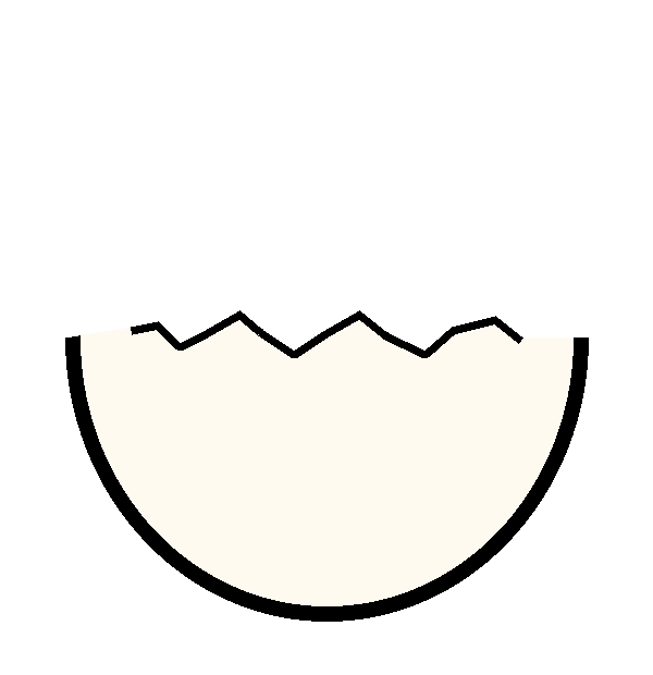 Ovo (parte de baixo)