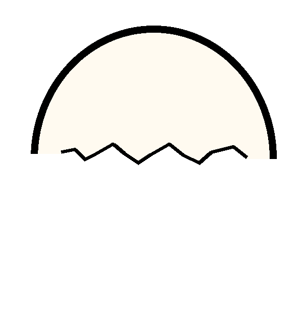 Tampa do ovo rachada